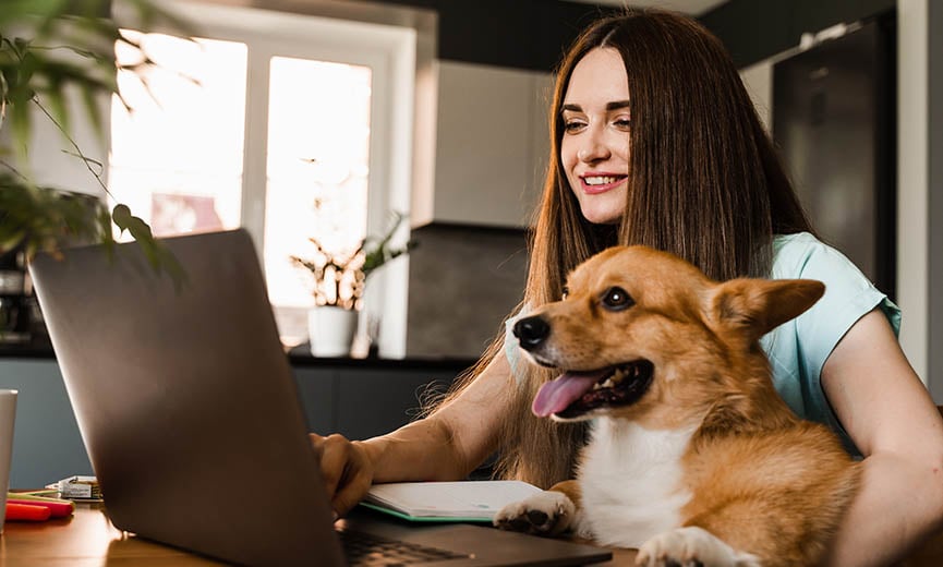 19 Affordable Employee Benefits for Your Team
