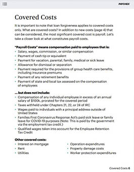 ppp loan forgiveness guide preview image