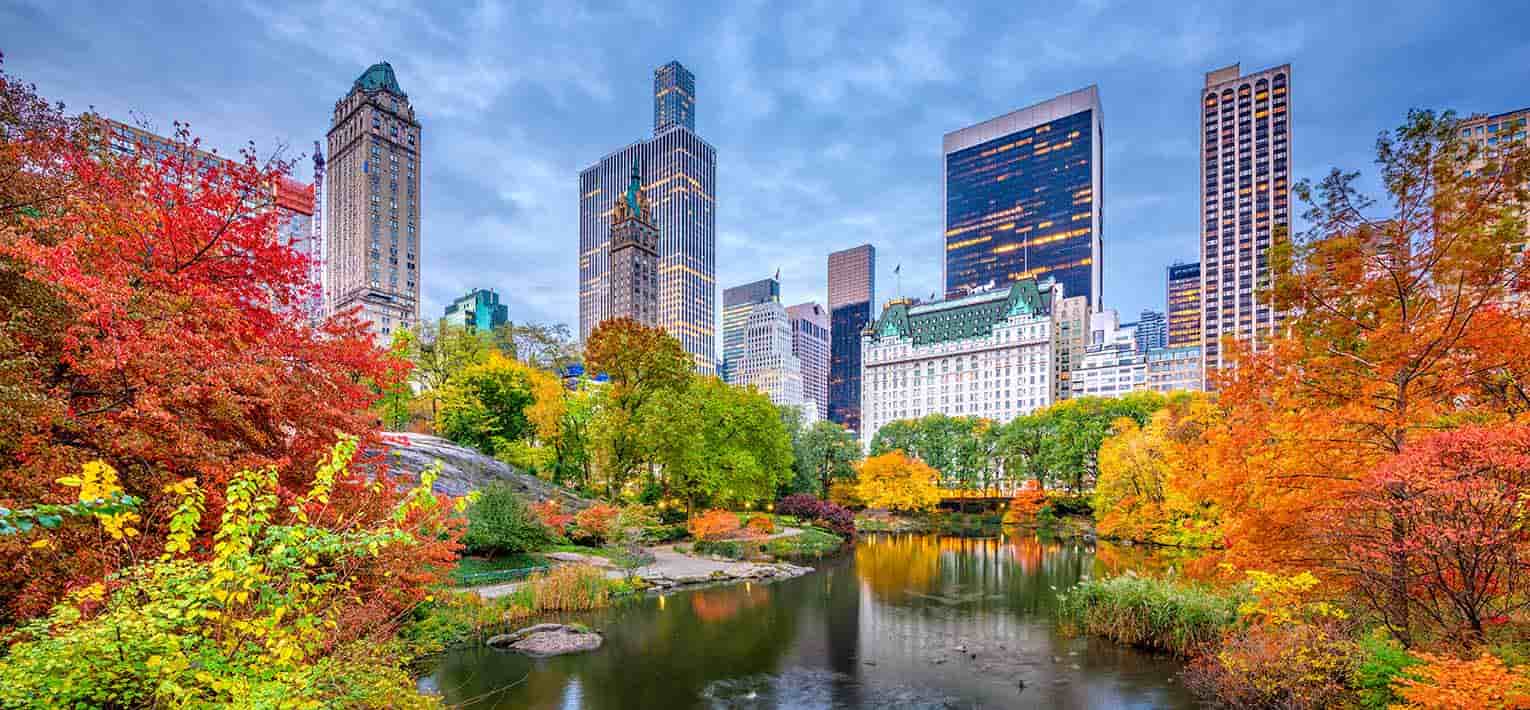 landscape of central park, New York