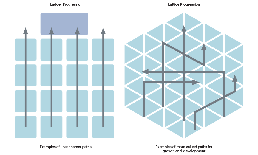 career path framework, ladder versus lattice