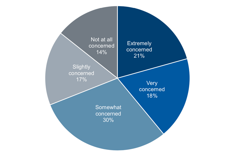 Business level of concern about coronavirus