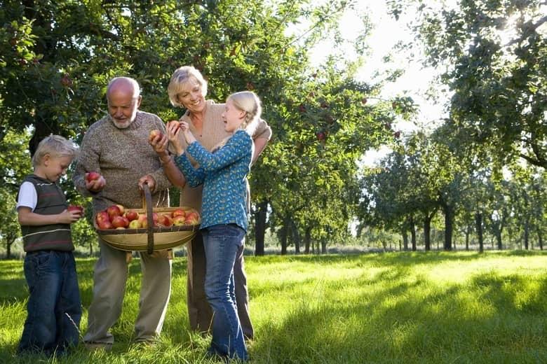 abuelos jubilados con nietos