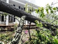 el irs extiende el plazo para las víctimas del huracán florence