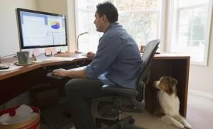 Professional man working remotely at home in front of his computer with his dog sitting beside him