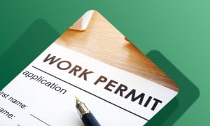 Work Permit Application