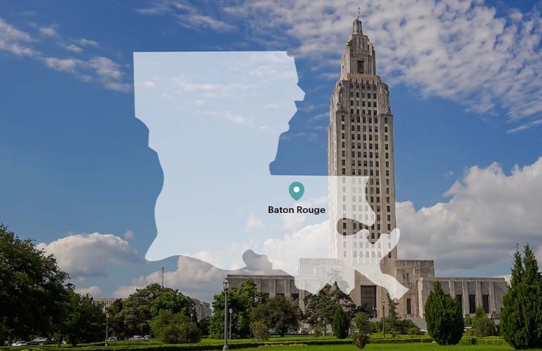 Imagen del estado de Luisiana