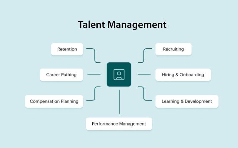 Pipeline de gestión del talento