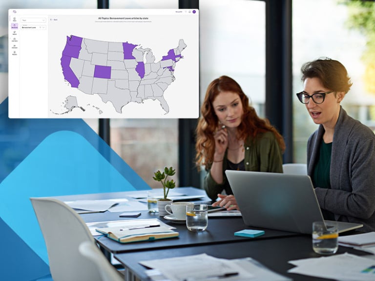 Professionals checking employment laws using sixfifty