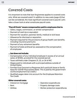 ppp loan forgiveness guide preview image