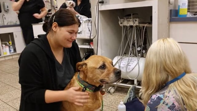 Paychex client West Park Animal Hospital