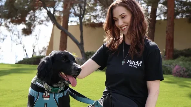 Un empleado de Fetch Pet Care, miembro de Phoenix Franchise Brands, pasea a un perro. 