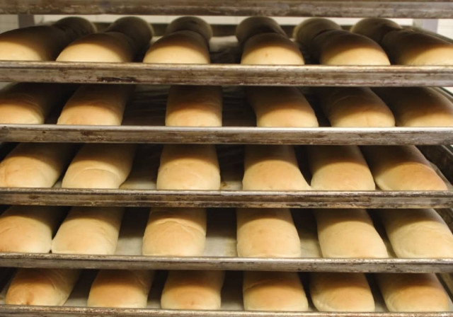trays of homemade submarine sandwich rolls