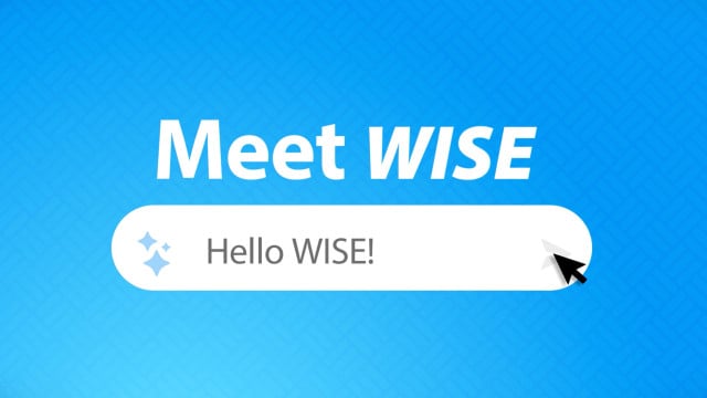 Meet WISE - The AI That Gets Work Done